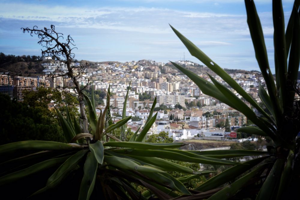 Vista desde Jardín Botánico.