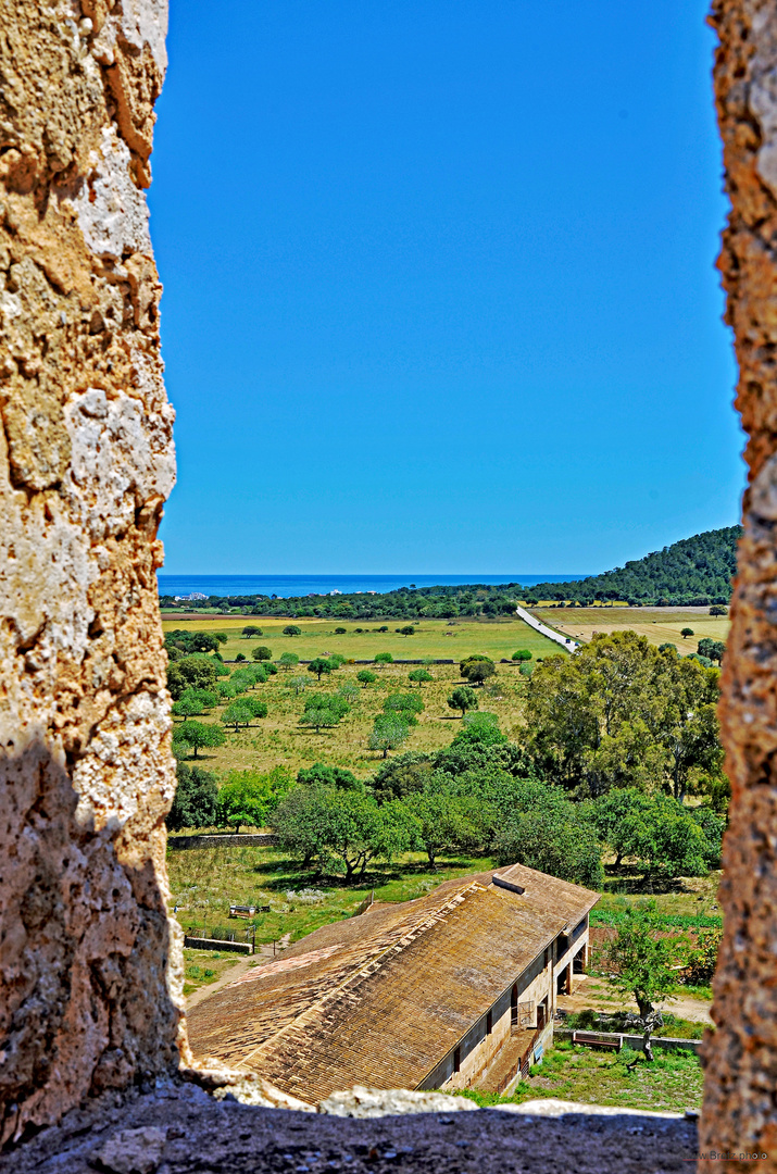 Vista desde la Torre de Canyamel ²