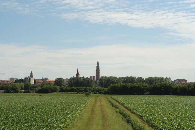 vista di cremona