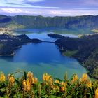 Vista do Rei, Sao Miguel/Azoren