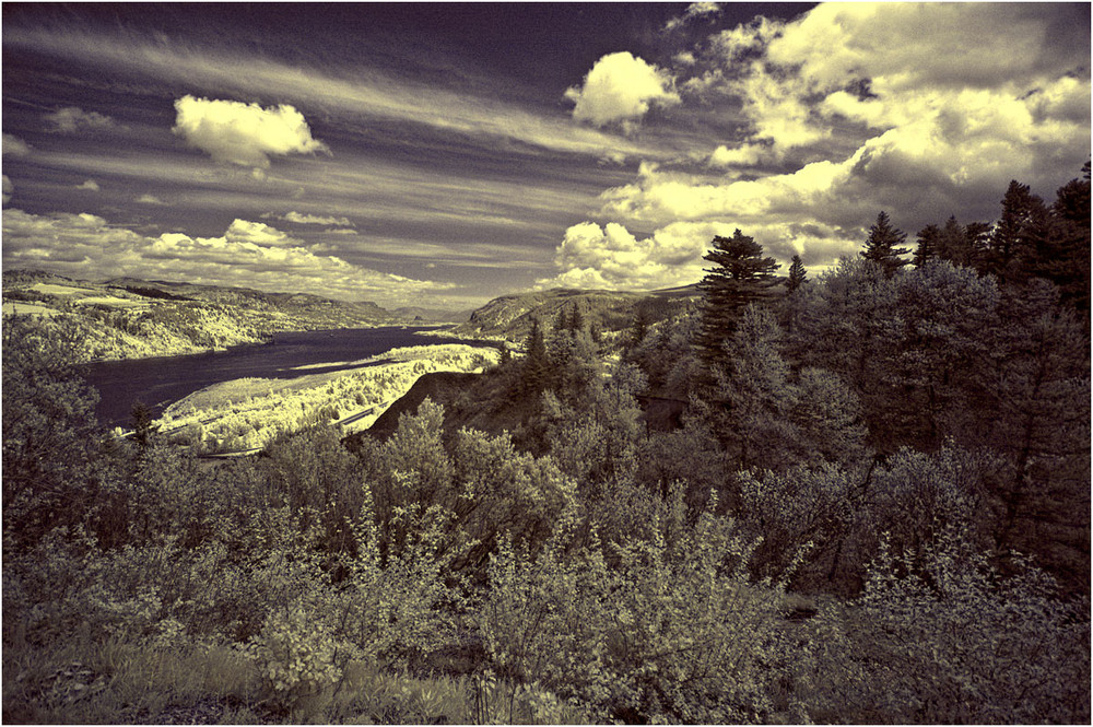 vista house I