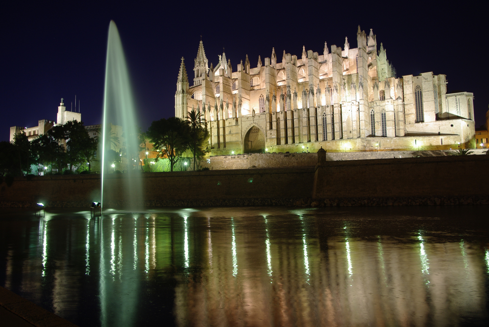 vista nocturna catedral de palma de mallorca