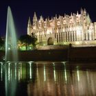 vista nocturna catedral de palma de mallorca