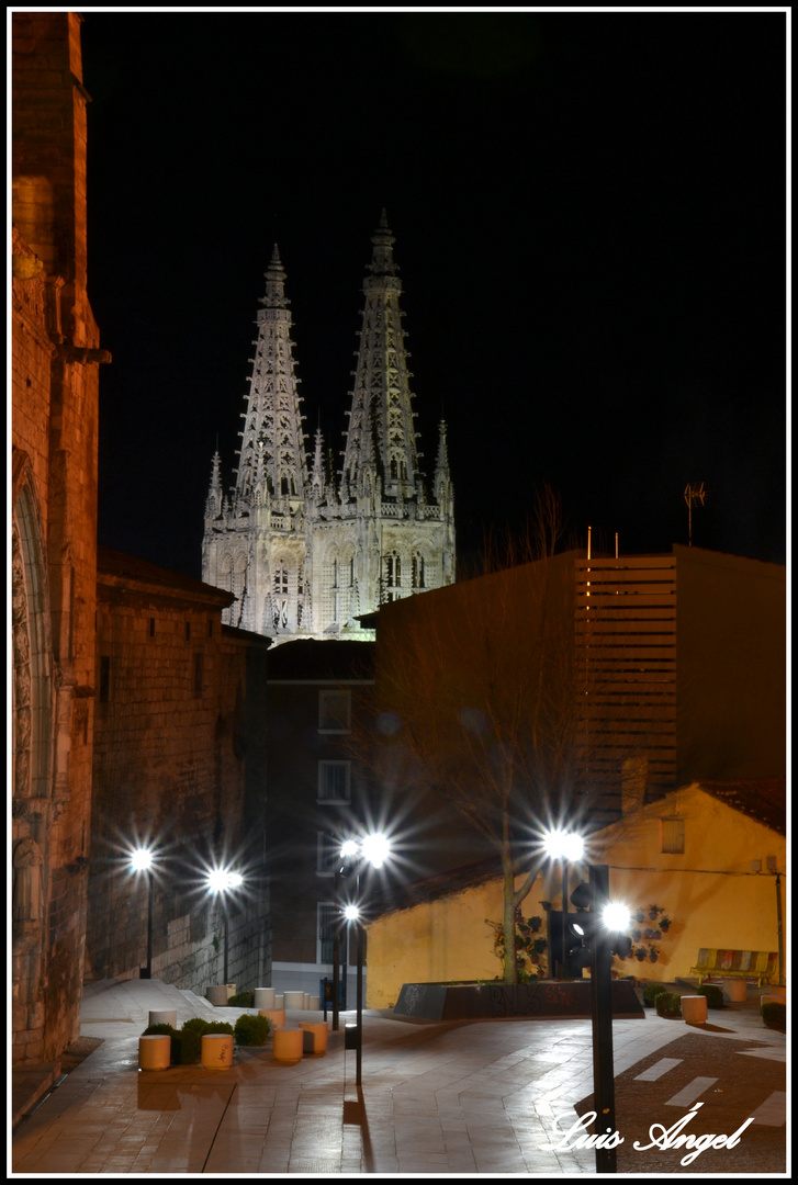 vista nocturna de la Catedral de Burgos