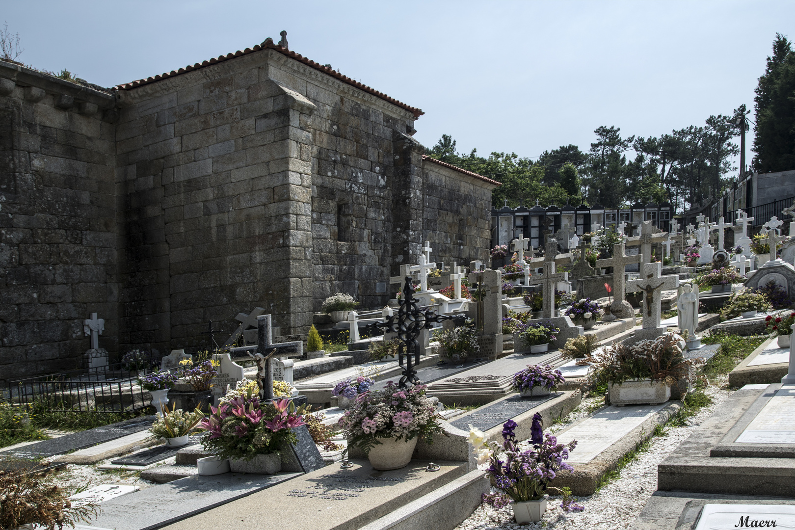 Vista parcial del cementerio