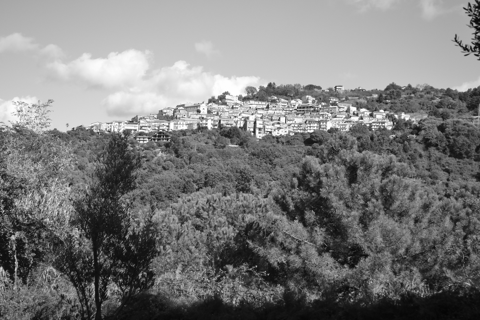 Vista su San Nicola da Crissa, Calabria