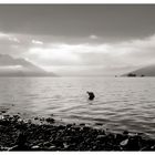 Vista sul lago Maggiore da Colmegna