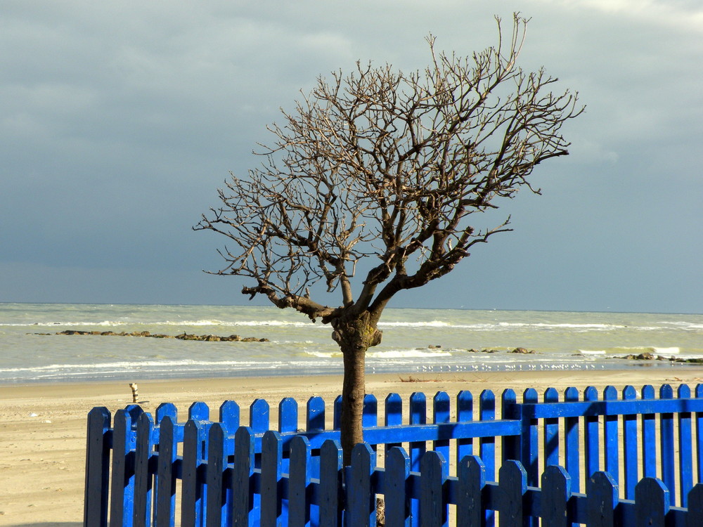 vista sul mare