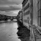Vista sull'Arno