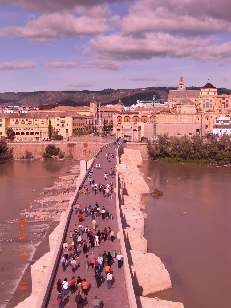 vistas al alcazar y a la mezkita