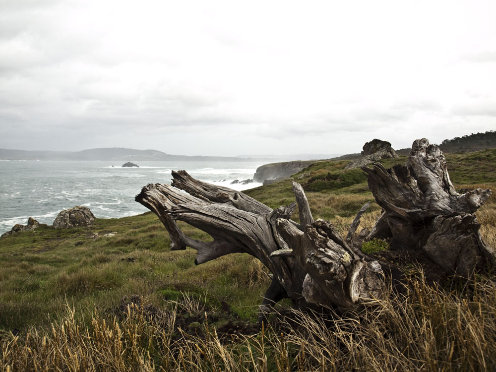 vistas al mar