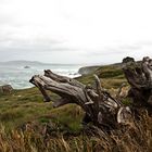 vistas al mar