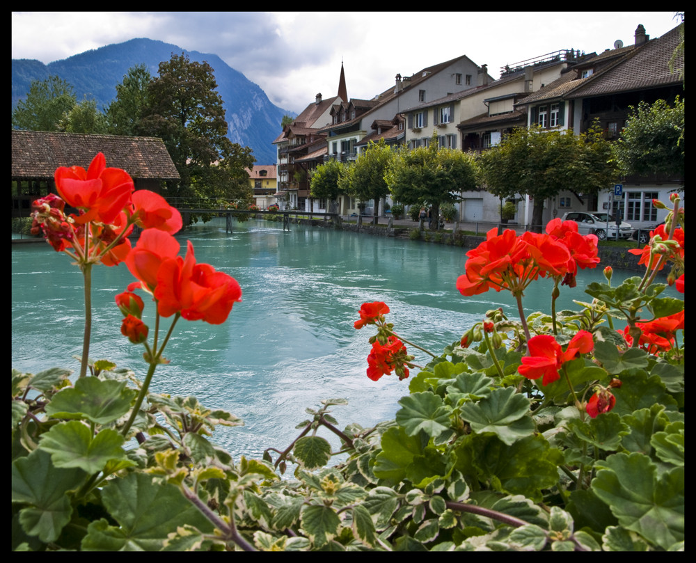 Vistas de una maceta en Interlaken (Suiza)