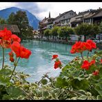 Vistas de una maceta en Interlaken (Suiza)