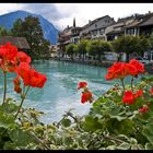 Vistas de una maceta en Interlaken (Suiza)