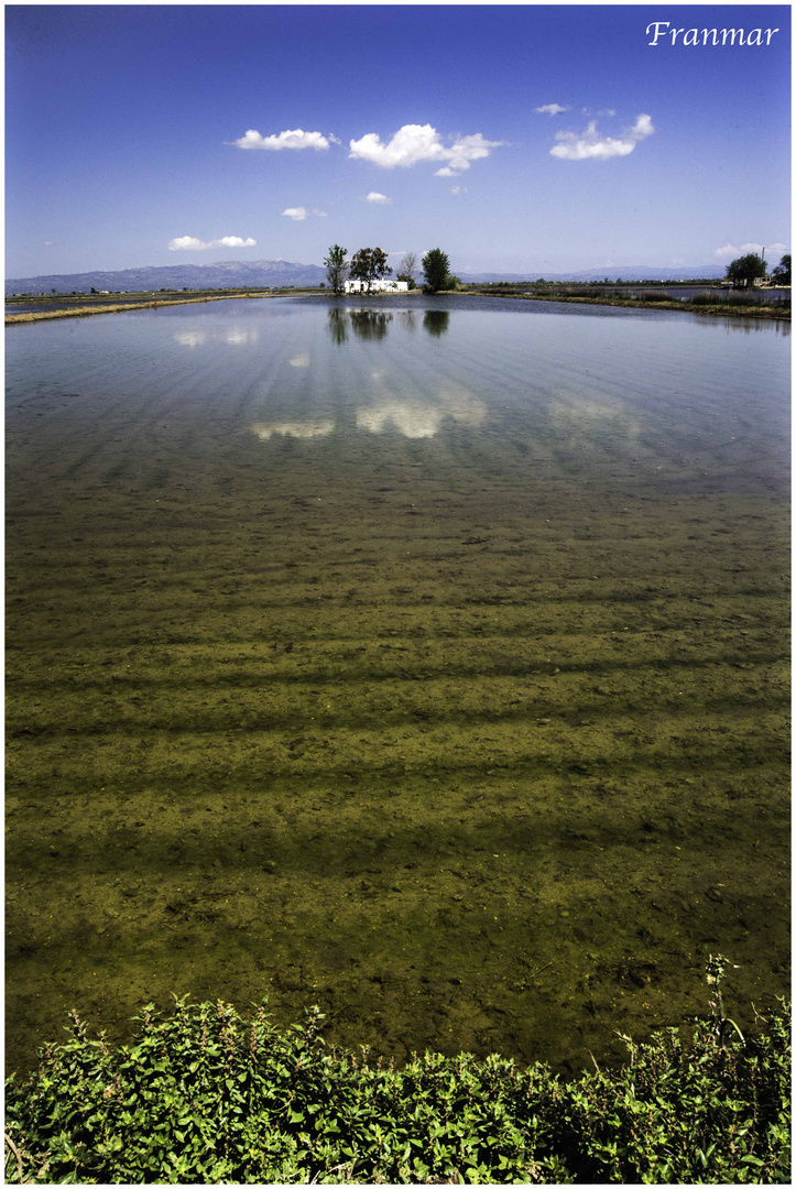 Vistas del Delta 1