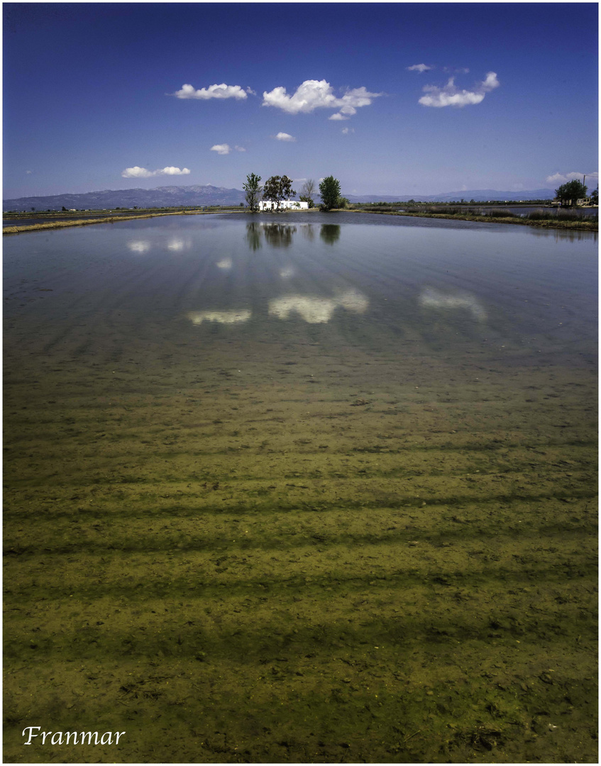 Vistas del Delta 1-Revisada