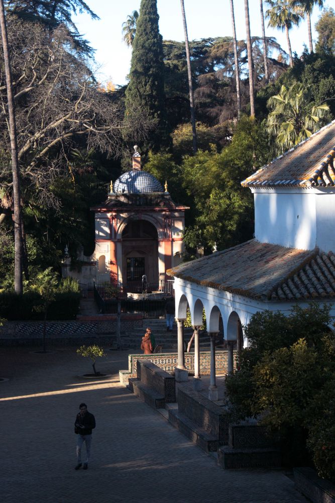 vistas del jardín desde el pasillo