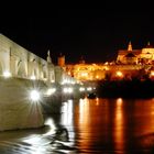 vistas nocturnas de córdoba