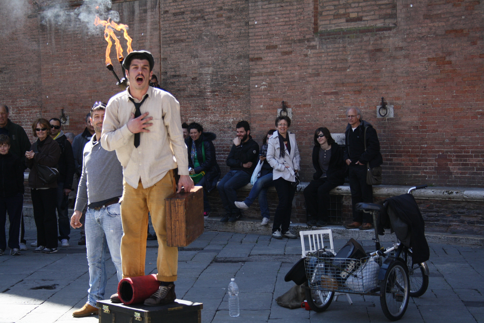 Vita d’artista, vita da cane (Siena, Italia)