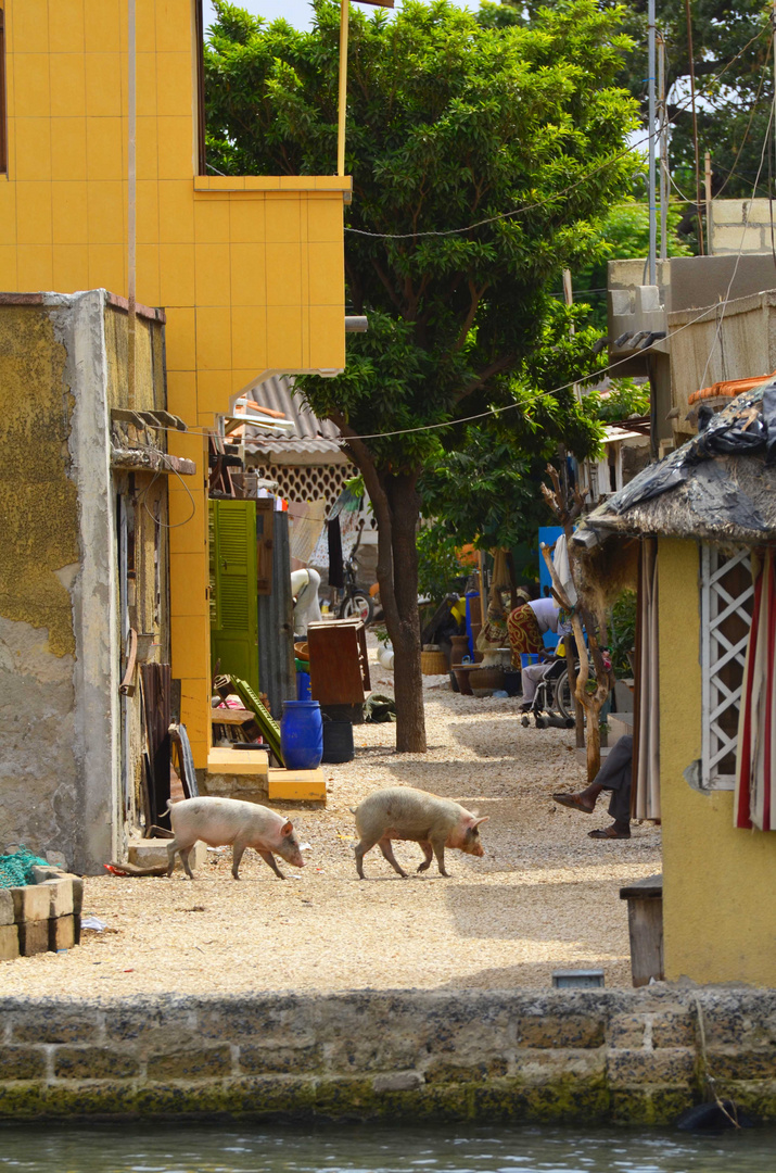 Vita di un vicolo - Senegal