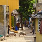 Vita di un vicolo - Senegal