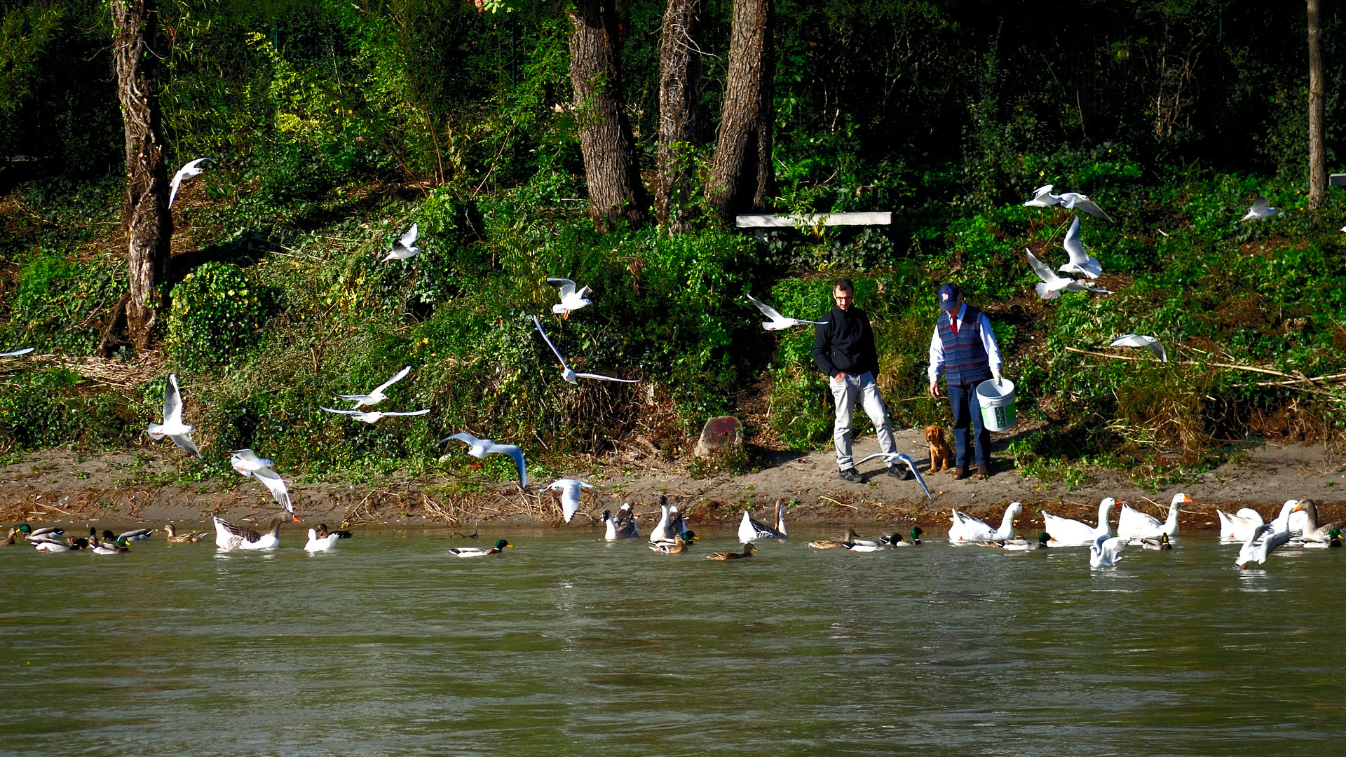 vita lungo il fiume