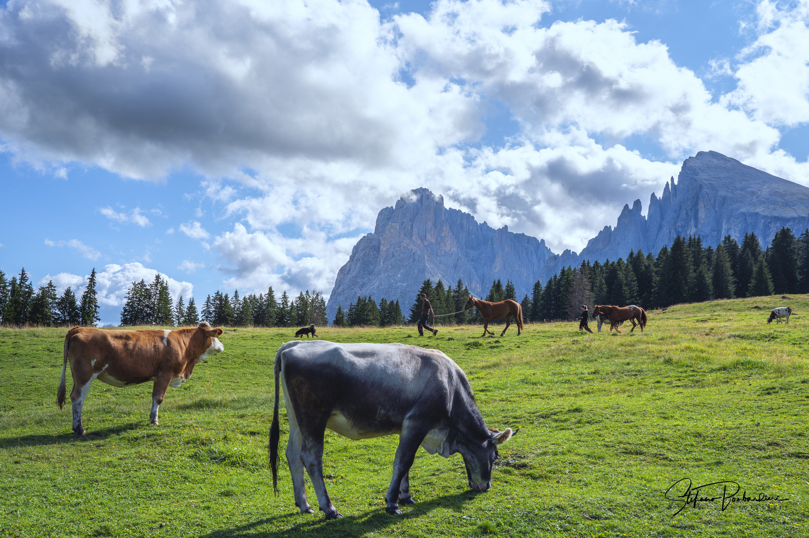 Vita quotidiana tra le Dolomiti . . .