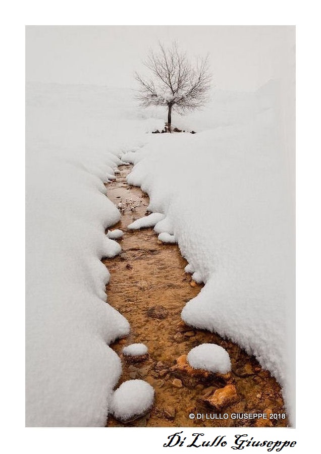 VITA SOTTO LA NEVE