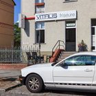 VITALIS friseure in Königs Wusterhausen