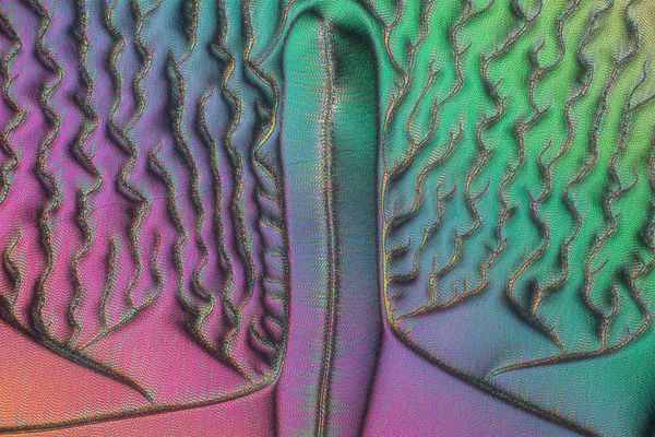 Vitamin C_157 (Sonntags abstrakt)