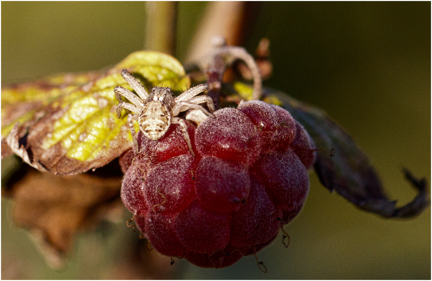 Vitamine braucht jeder