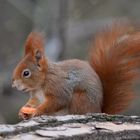 Vitamine für den Frühling