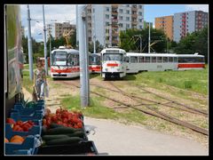 Vitamine für die Straßenbahnfahrt