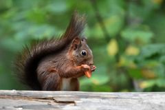 Vitamine sind wichtig