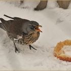 Vitamine zum Frühstück...