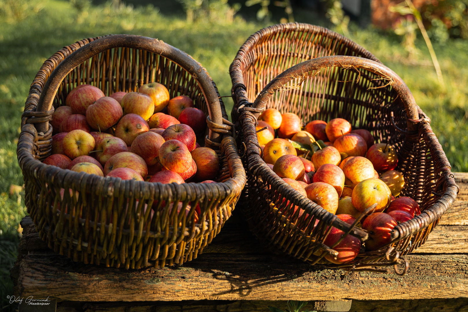 Vitamine zum Mitnehmen