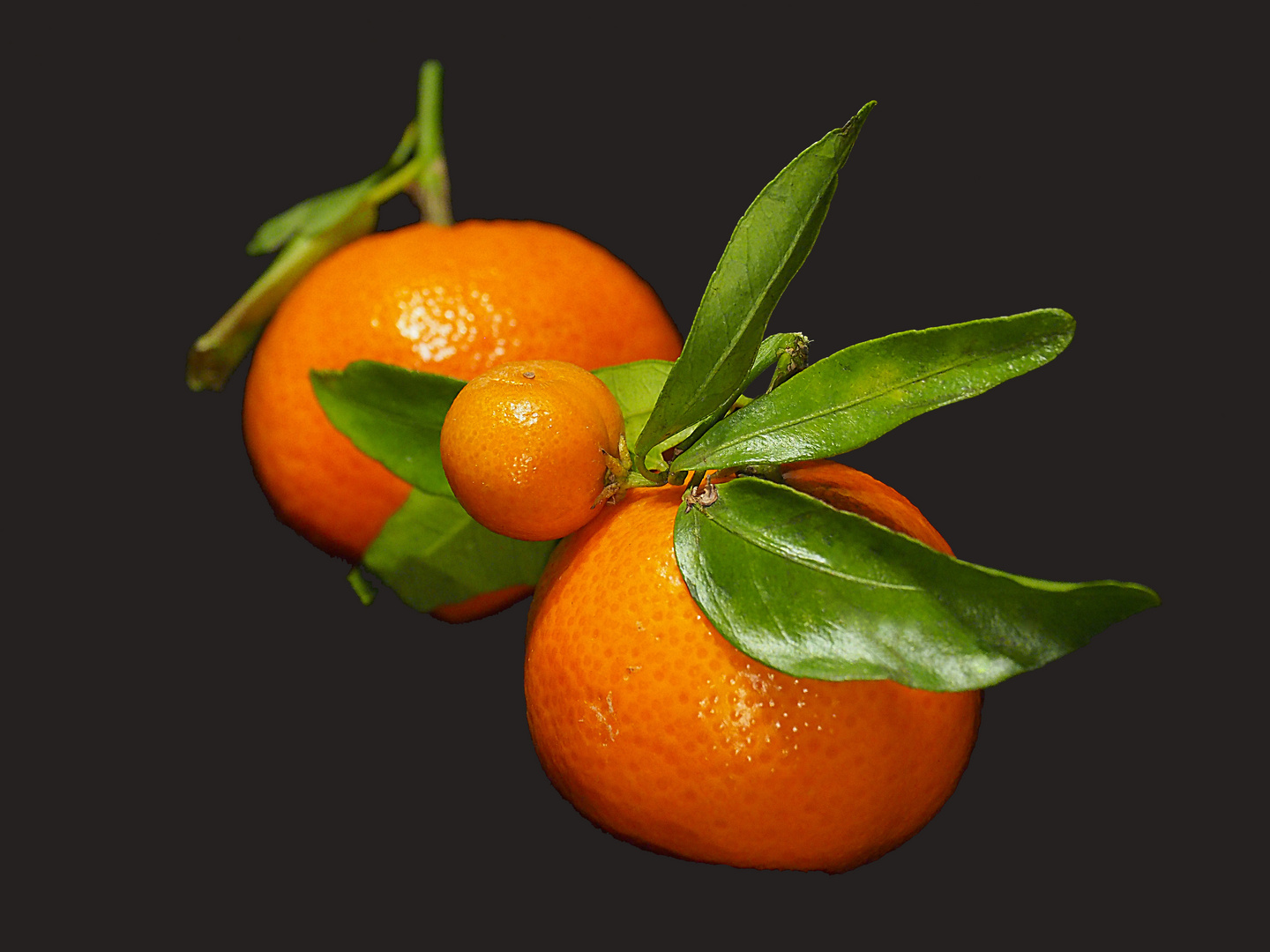 Vitamines de saison