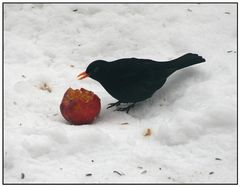 Vitaminreiche Ernährung