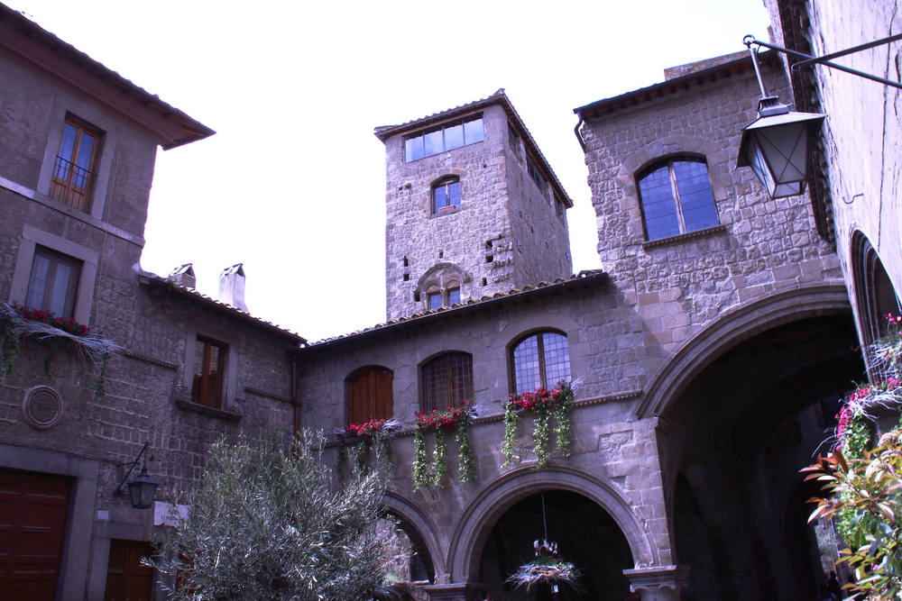 viterbo piazza s.pellegrino,,palazzo,degli..alessandri