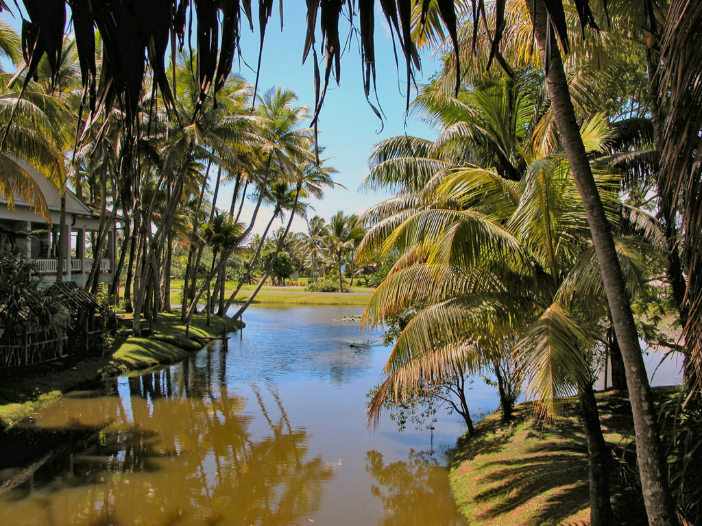 Viti Levu / Fiji - Südseetraumlandschaft