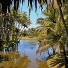 Viti Levu / Fiji - Südseetraumlandschaft