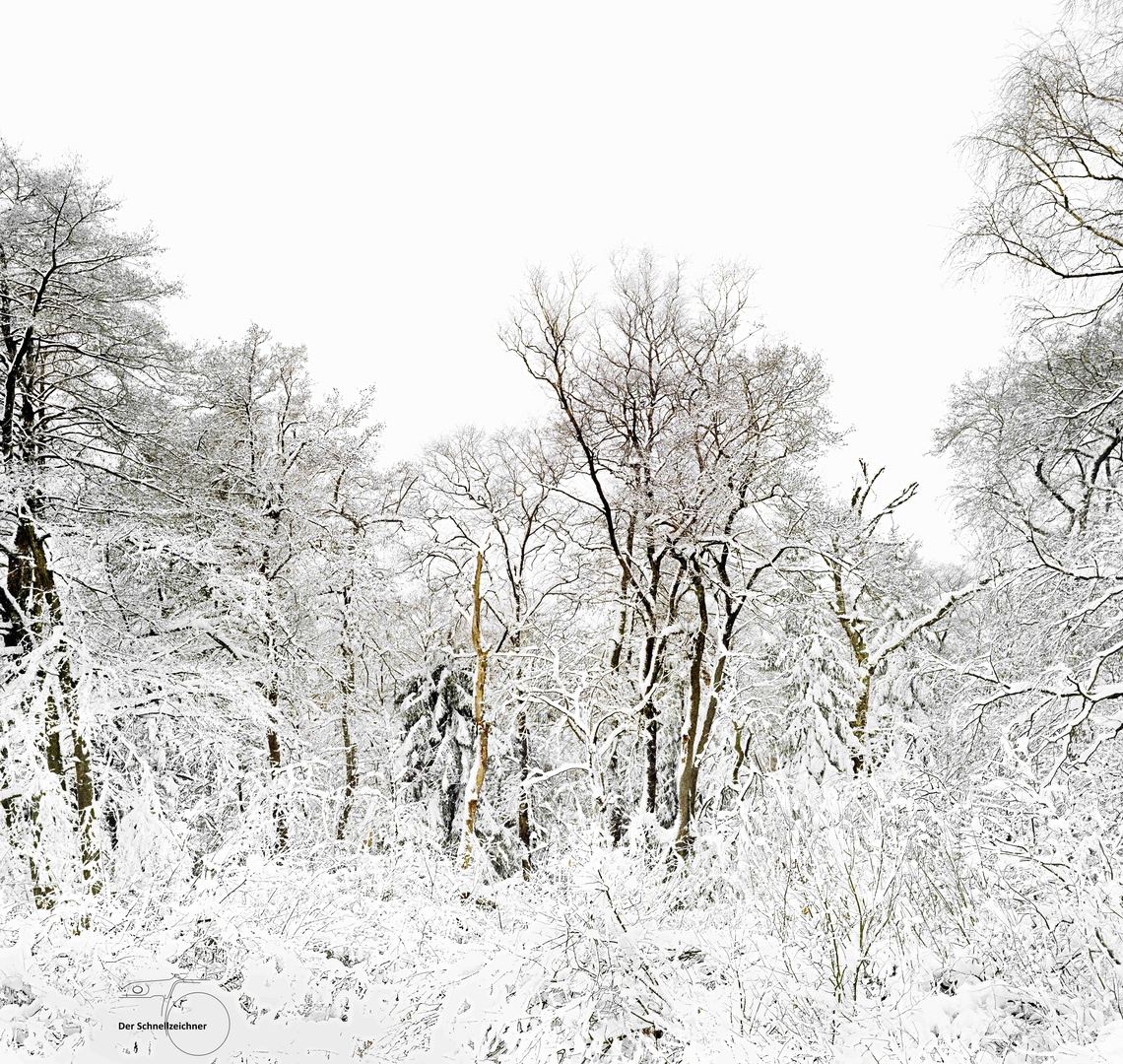 Vitomatic III - Kodak Gold 200 - Panorama "Winterlandschaft"