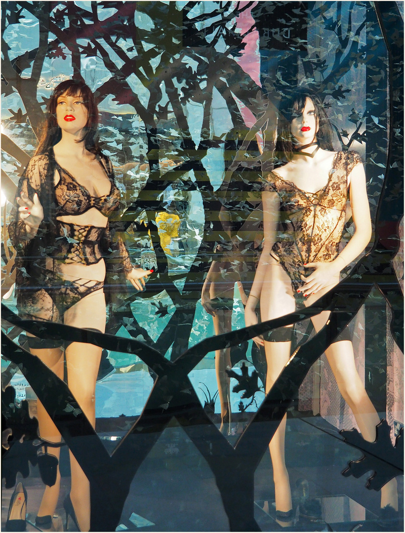 Vitrine « Agent Provocateur »