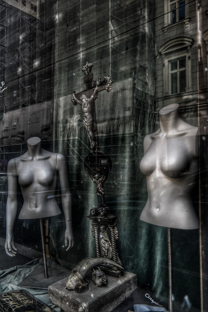 Vitrine bizarre