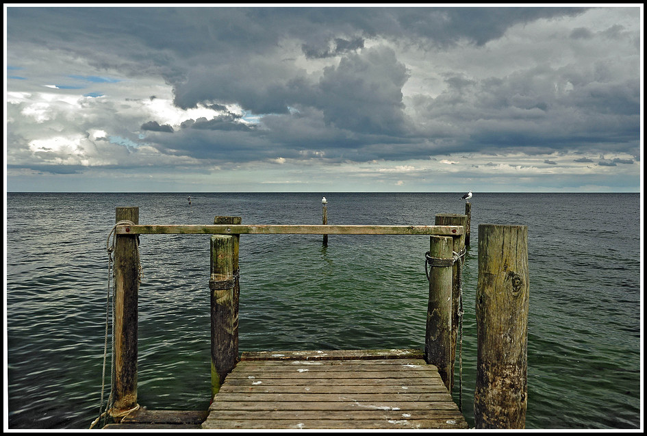 Vitt auf Rügen