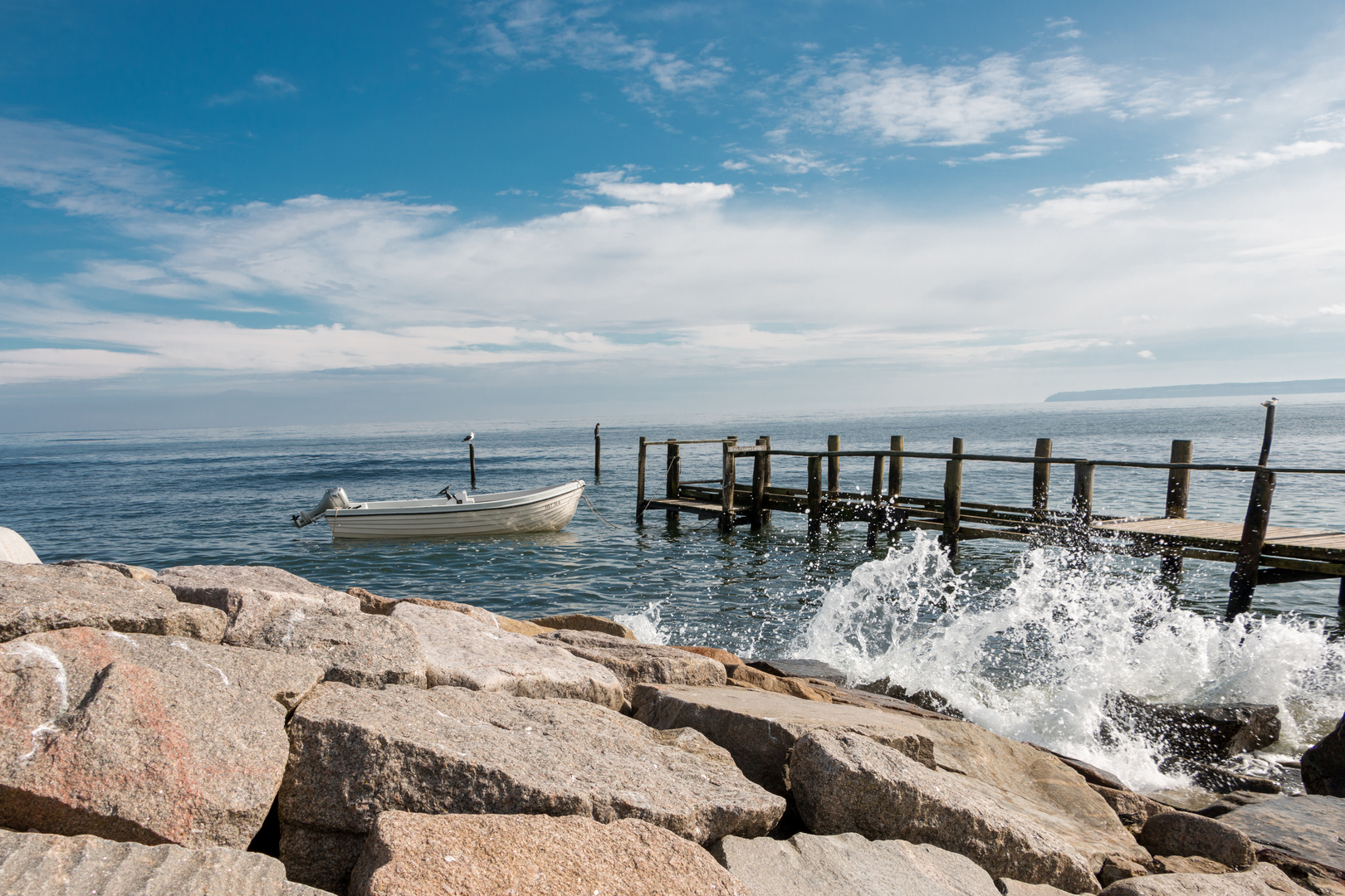 Vitt, Rügen