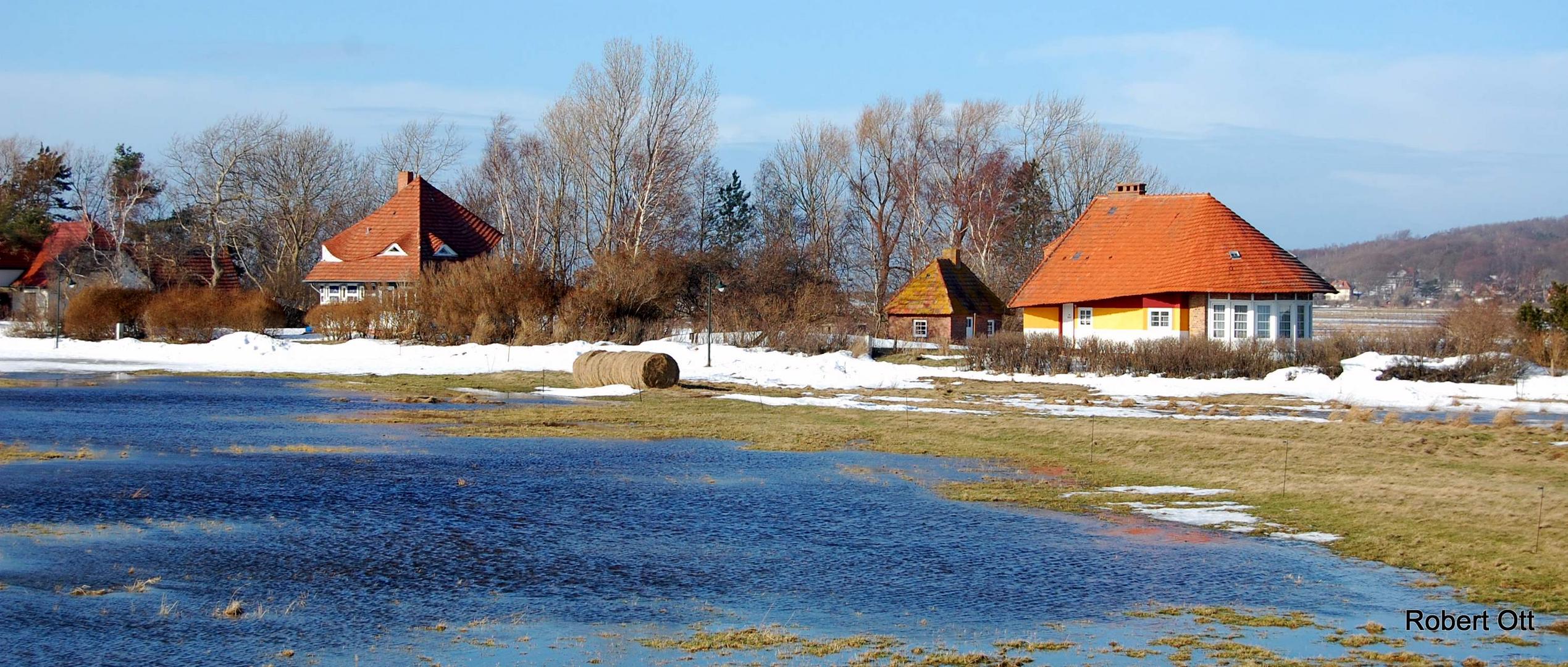 Vitte im Winter(Es taut,dann kam wieder Schnee)