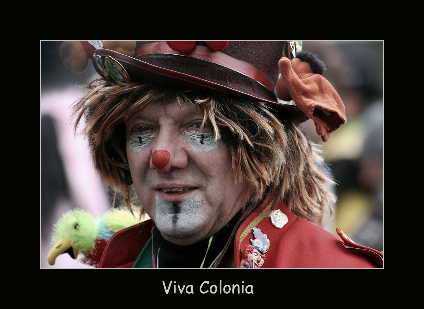 Viva Colonia