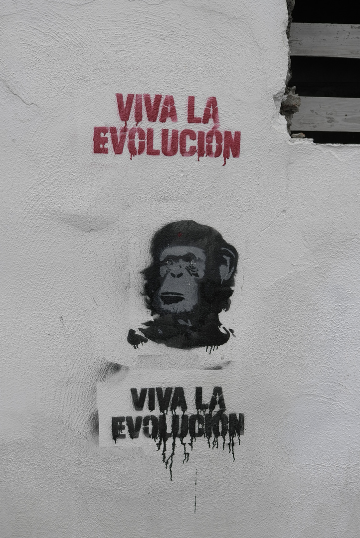 Viva La Evolucion